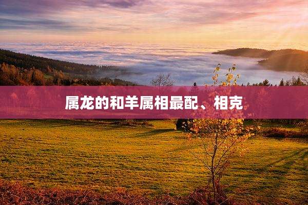 属龙的和羊属相最配、相克