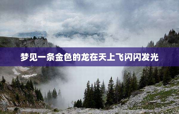 梦见一条金色的龙在天上飞闪闪发光