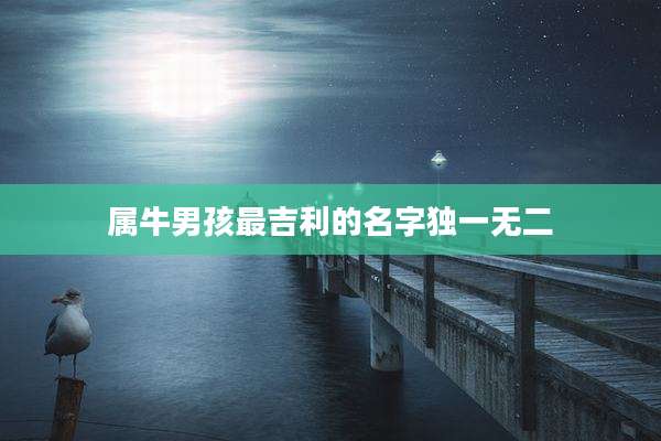 属牛男孩最吉利的名字独一无二