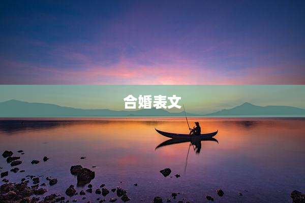 合婚表文