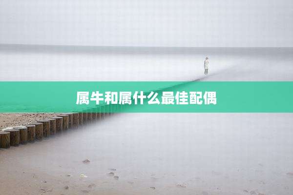 属牛和属什么最佳配偶