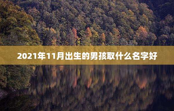 2021年11月出生的男孩取什么名字好