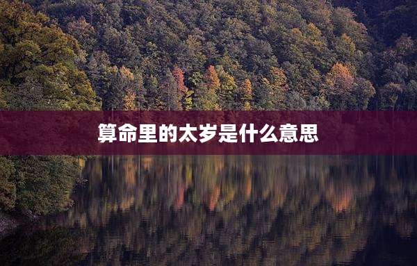 算命里的太岁是什么意思