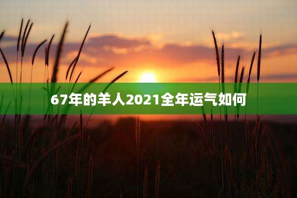 67年的羊人2021全年运气如何