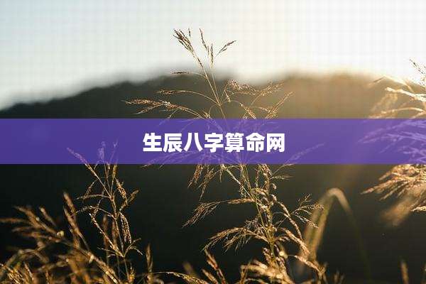 生辰八字算命网