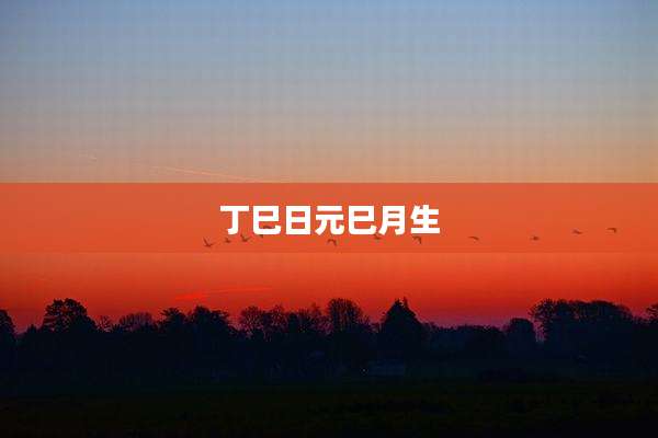 丁巳日元巳月生