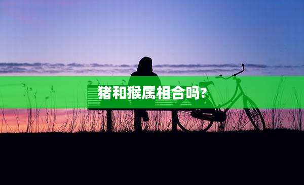 猪和猴属相合吗?