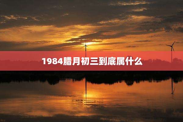 1984腊月初三到底属什么