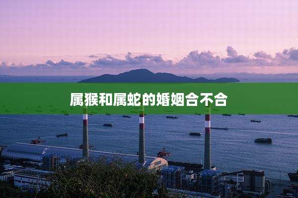 属猴和属蛇的婚姻合不合
