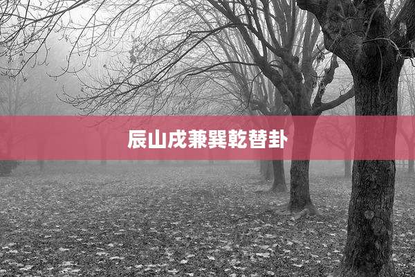 辰山戌兼巽乾替卦