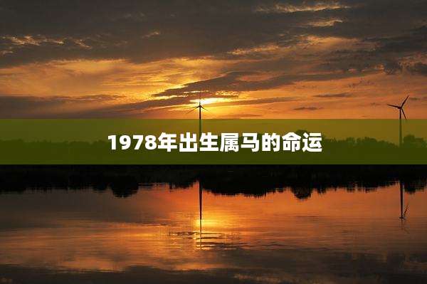 1978年出生属马的命运