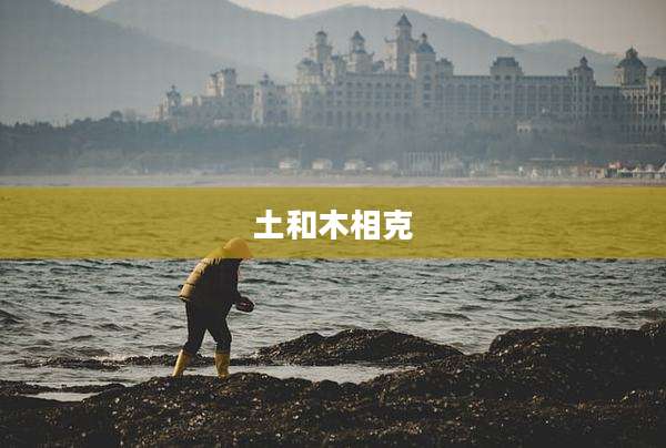 土和木相克