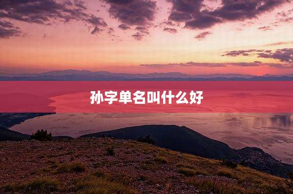 孙字单名叫什么好