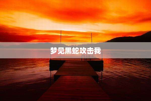 梦见黑蛇攻击我