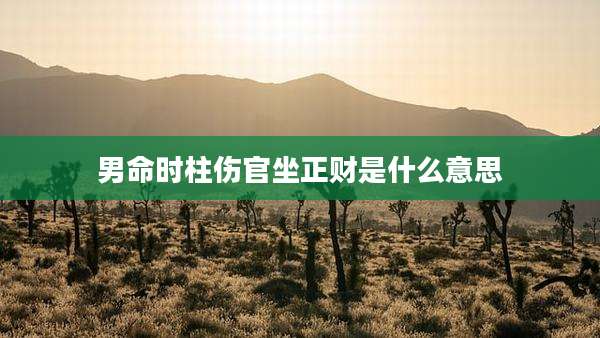 男命时柱伤官坐正财是什么意思