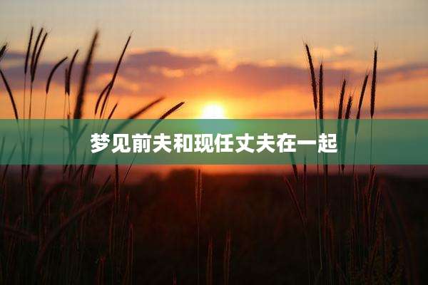 梦见前夫和现任丈夫在一起