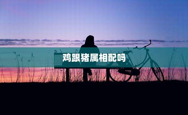 鸡跟猪属相配吗