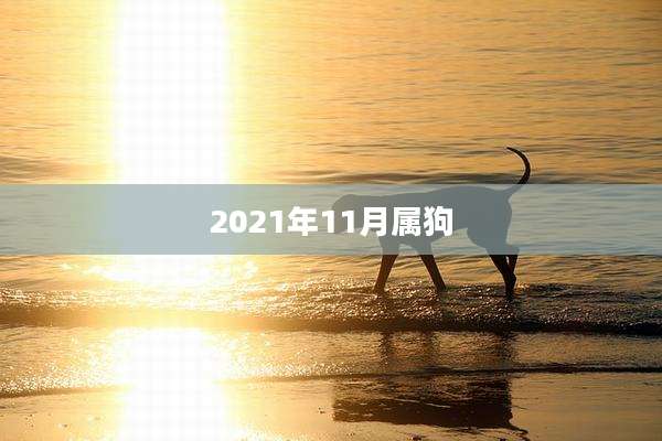 2021年11月属狗