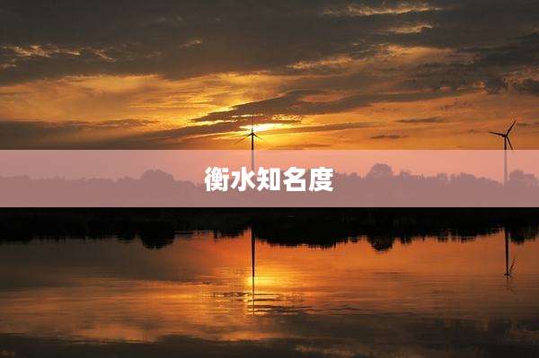 衡水知名度