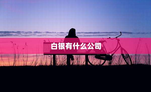 白银有什么公司