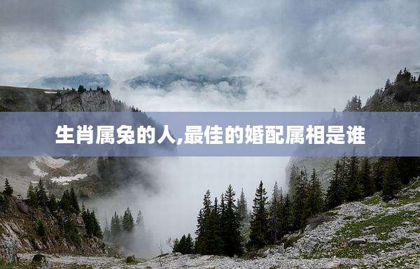生肖属兔的人,最佳的婚配属相是谁
