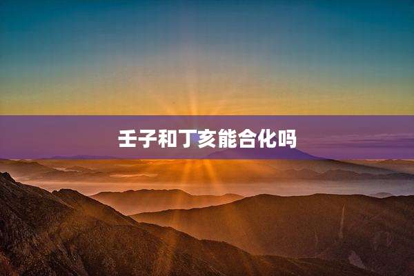 壬子和丁亥能合化吗