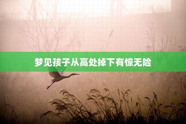 梦见孩子从高处掉下有惊无险