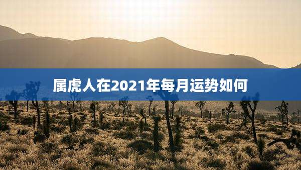 属虎人在2021年每月运势如何