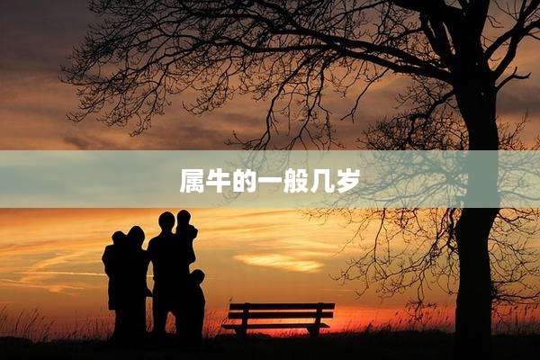 属牛的一般几岁