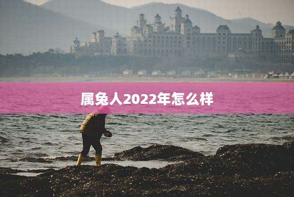 属兔人2022年怎么样