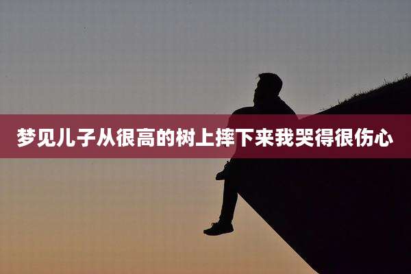 梦见儿子从很高的树上摔下来我哭得很伤心