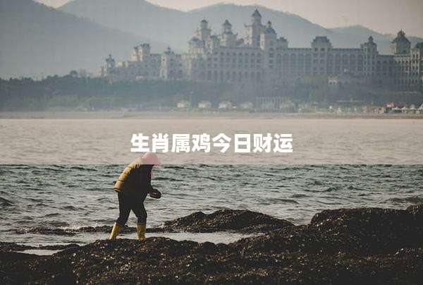 生肖属鸡今日财运