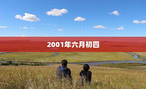 2001年六月初四