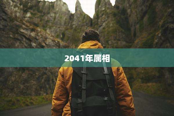 2041年属相