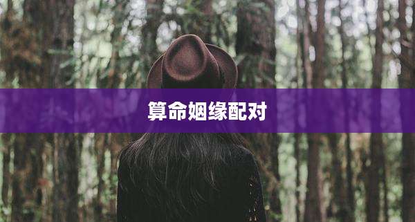 算命姻缘配对