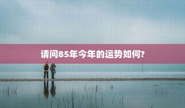 请问85年今年的运势如何?