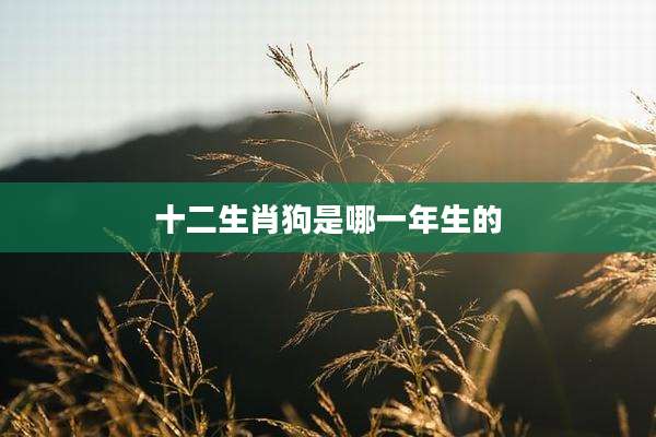 十二生肖狗是哪一年生的
