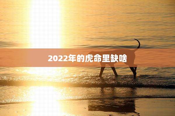 2022年的虎命里缺啥