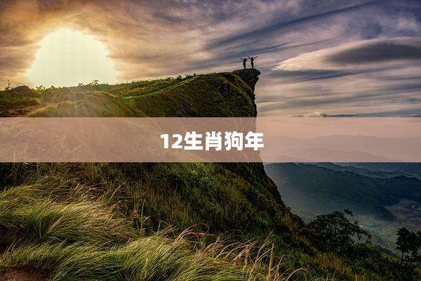 12生肖狗年
