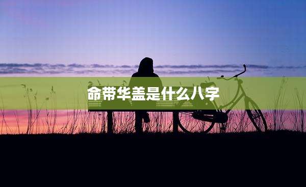 命带华盖是什么八字