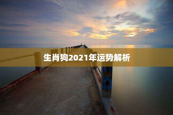 生肖狗2021年运势解析