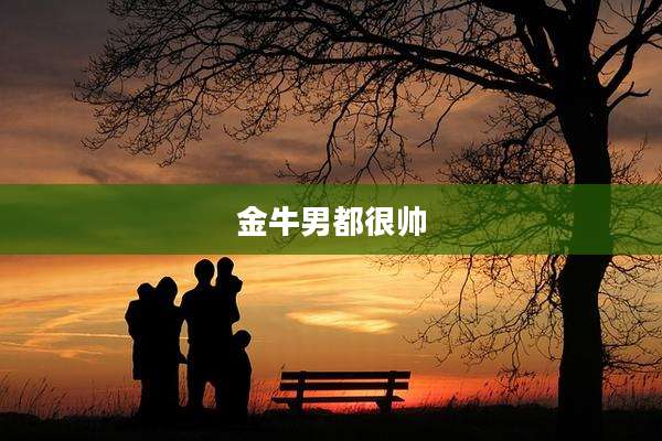 金牛男都很帅