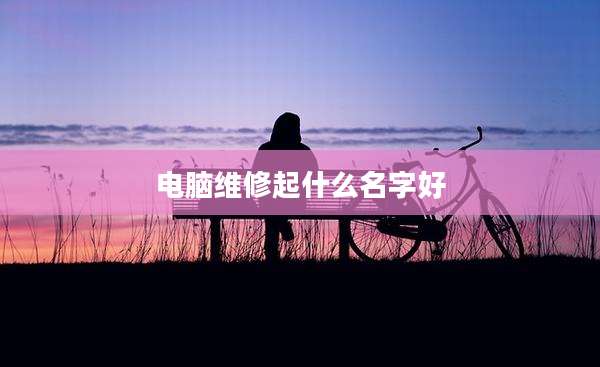 电脑维修起什么名字好