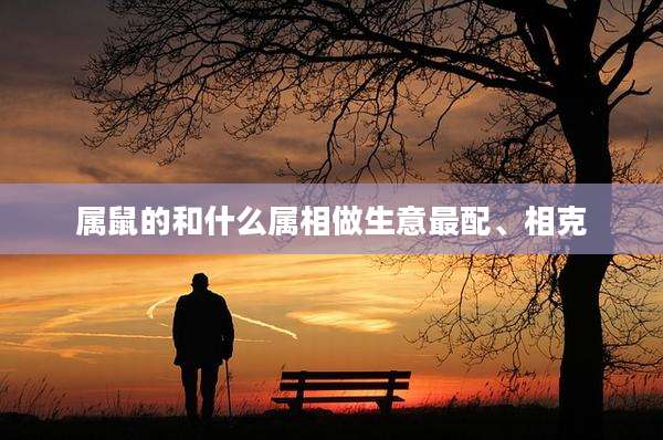 属鼠的和什么属相做生意最配、相克