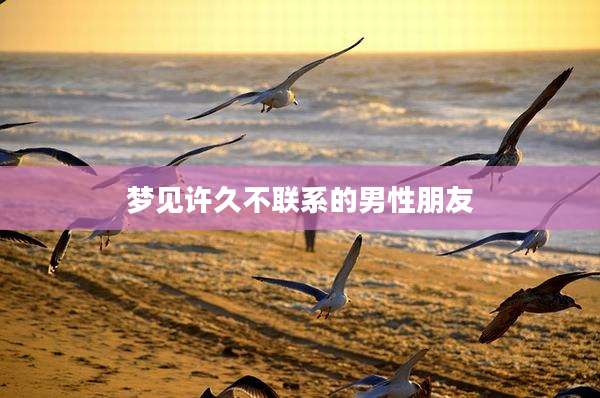 梦见许久不联系的男性朋友