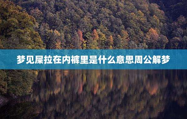 梦见屎拉在内裤里是什么意思周公解梦