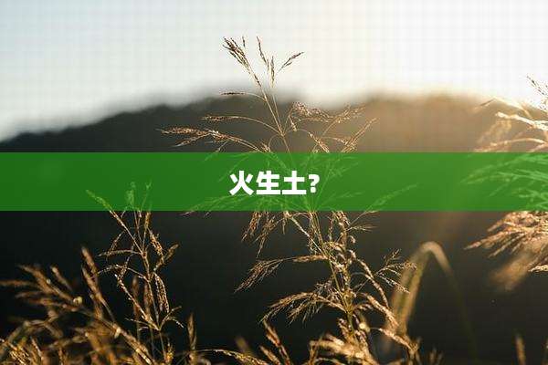 火生土?
