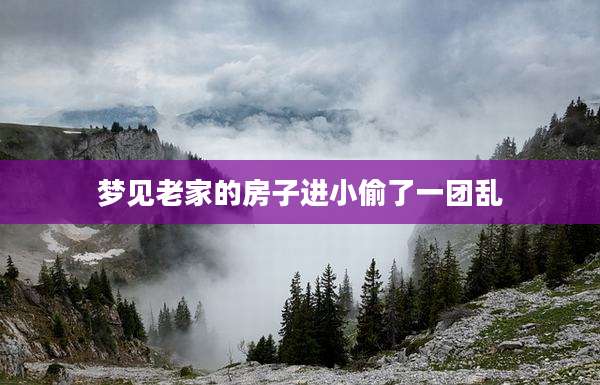 梦见老家的房子进小偷了一团乱