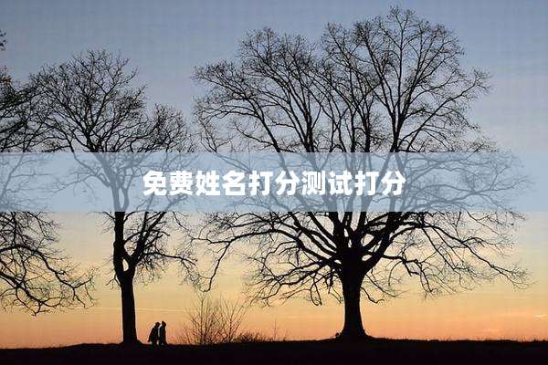 免费姓名打分测试打分