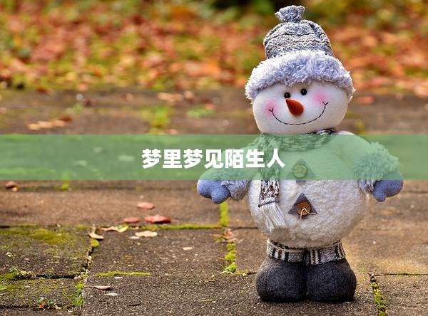 梦里梦见陌生人